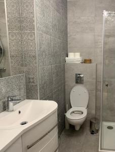 a bathroom with a toilet and a sink at Na plażę przez las in Jantar