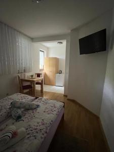 a bedroom with a bed and a table and a television at Guest House Štefanija in Poljanak