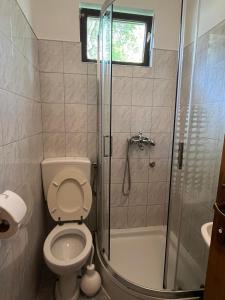 een badkamer met een toilet en een glazen douche bij Guest House Štefanija in Poljanak