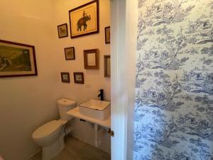 a bathroom with a toilet and a sink at Bahamian Farm House in Rock Sound