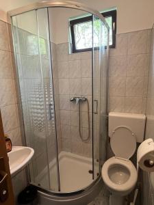 a bathroom with a shower and a toilet and a sink at Guest House Štefanija in Poljanak