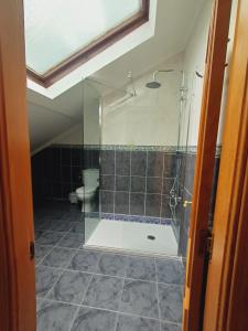 bagno con doccia in vetro e servizi igienici. di Hotel El Coterin Apartamentos y Habitaciones a Arenas de Cabrales