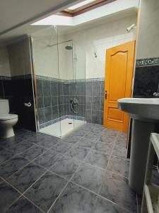 a bathroom with a shower and a toilet and a sink at Hotel El Coterin Apartamentos y Habitaciones in Arenas de Cabrales