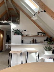 Kuchyňa alebo kuchynka v ubytovaní Apartments Marinka Litomyšl