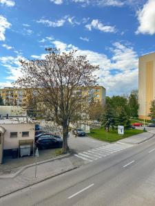 a tree on the side of a street at 3 - room Masaryk A 100m2 City Centrum Kosice in Košice