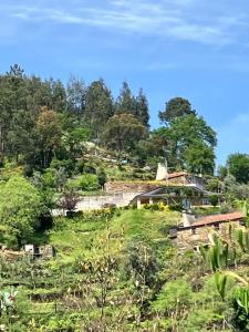 einen grasbewachsenen Hügel mit einem Haus darüber in der Unterkunft Casinha Serabigoes Arouca Passadiços Paiva in Arouca