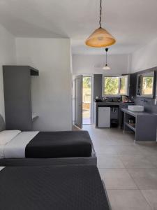 a large bedroom with a bed and a kitchen at Mary Rooms in Perivolos