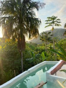 a pool in a resort with a view of the mountains at The Valley Tayrona hostel- A unique social jungle hostel in El Zaino