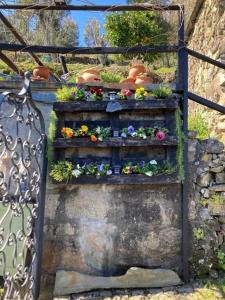 einen Garten mit Blumen und Pflanzen auf einem Zaun in der Unterkunft Casinha Serabigoes Arouca Passadiços Paiva in Arouca