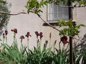 Ogród w obiekcie OUSTAOU DU GAYET gîte de charme avec piscine privée