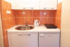 a small kitchen with a sink and a toaster at Apartmani Novkovic in Bar