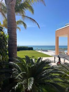 Villa Oceânica في ألبوفيرا: نخلة وطاولة نزهة على الشاطئ