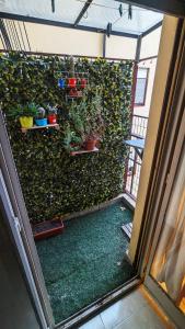 un jardín interior con macetas en la pared en Nice appartment in San Telmo / La Boca en Buenos Aires