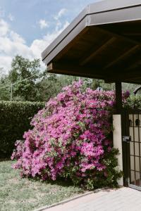 A garden outside LA CASETTA Malpensa Guesthouse