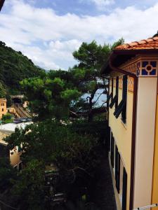 uma vista para uma árvore a partir de um edifício em Il Timone Lerta em Monterosso al Mare