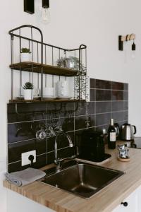 um balcão de cozinha com um lavatório e uma prateleira em LA CASETTA Malpensa Guesthouse em Case Nuove