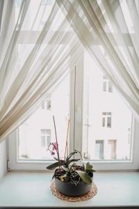 a window with a potted plant on a window sill at Family apartment in Riga center Free parking in Rīga
