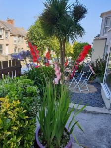 un jardín con una palmera y algunas plantas en Fairways Guest House, en Newquay