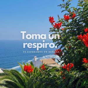 un cartello per un resort con fiori rossi di fronte all'oceano di Del Alto Reñaca a Viña del Mar