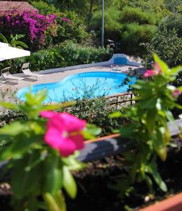 Bazén v ubytování UNICO Cannamele Escape Tropea by Life Resorts nebo v jeho okolí
