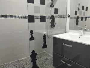 a bathroom with a shower and a sink at Appartement calme proche Paris in Villiers-sur-Marne