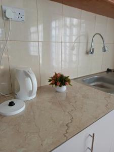a bathroom with a sink and a toilet on a counter at The kioka gardens with Wifi and parking in Nanyuki