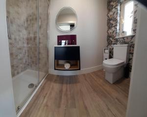 a bathroom with a shower and a toilet and a television at PatsView Lodge in Donegal +9 photos