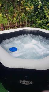 een hot tub met een blauwe frisbee erin bij Rózsa apartman in Odorheiu Secuiesc