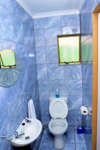 a blue tiled bathroom with a toilet and a sink at Obasi Green Inn Guesthouse in Roodepoort
