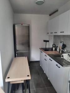 uma cozinha com um lavatório e um frigorífico em Pokoje u Lucyny 