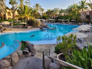 拉斯帕爾馬斯的住宿－Palm Oasis - Time Sharing，棕榈树度假村的游泳池
