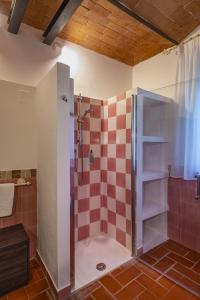 a bathroom with a shower with red and white tiles at Relais Riserva di Fizzano in Castellina in Chianti