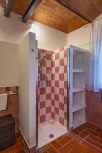 een badkamer met een douche met rode en witte tegels bij Relais Riserva di Fizzano in Castellina in Chianti