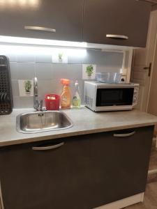 un bancone della cucina con lavello e forno a microonde di Le Coty a Fécamp
