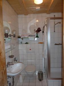 a bathroom with a sink and a toilet and a shower at Landhaus Wildfeuer in Kirchdorf im Wald