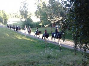 un grupo de personas montando caballos por un camino en Ölandsberg, Lilla lägenheten, en Gränna