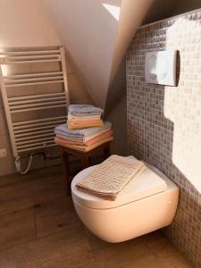 łazienka z toaletą na poddaszu w obiekcie Apartments Kamp Podgrad Vransko w mieście Vransko