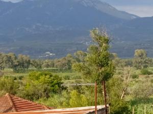 einen Blick auf ein Feld mit einem Berg im Hintergrund in der Unterkunft INFO στούντιο in Messini