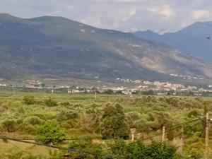 einen Blick auf ein Feld mit Bergen im Hintergrund in der Unterkunft INFO στούντιο in Messini