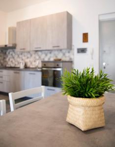 een potplant op een tafel in een keuken bij Gray Pearl - modern apartment in the city center in Arona