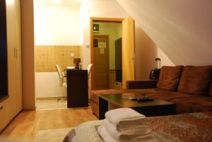 Χώρος καθιστικού στο Ski & Relax Apartment