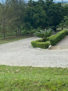 a stone walkway with a palm tree and bushes at Flat 1218, no residencial monte castelo in Bezerros