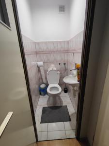małą łazienkę z toaletą i umywalką w obiekcie Agroturystyka Elżbieta i Juliusz w Muszynie
