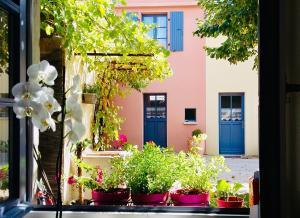 a window with potted plants in front of a building at Le Domaine d'Adrien in Larnage +19 photos