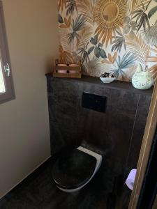 La salle de bains est pourvue de toilettes et d'un miroir mural. dans l'établissement Le Domaine d'Adrien, à Larnage