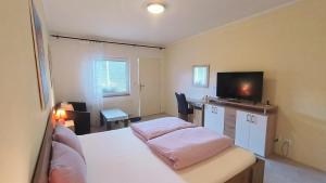 TV a/nebo společenská místnost v ubytování Cozy Room with garden in Bratislava