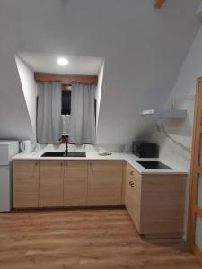 a kitchen with a sink and a counter top at Apartament Kapłonówka in Bańska