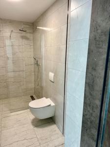 a bathroom with a toilet and a shower at Dom wakacyjny Welle Dziwnów in Dziwnów