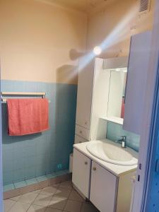 a bathroom with a sink and a red towel at Oasis urbaine appartement 2 pièce in Nice