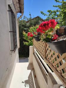- un balcon avec des fleurs rouges dans la fenêtre dans l'établissement Le bon séjour, à Marseille